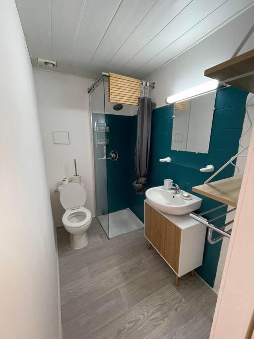 Appartement T2 Bagnères-de-Luchon Екстериор снимка